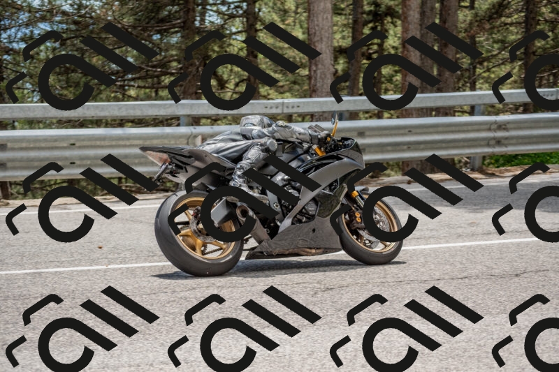 202506011348-DSC_5995_c4_