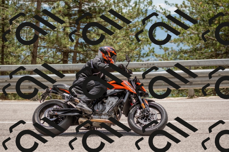 202506011349-DSC_6000_c4_