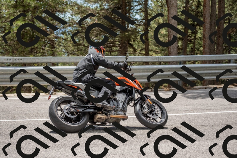 202506011349-DSC_6001_c4_