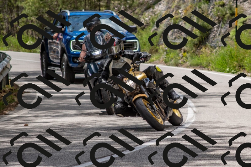 202506011349-DSC_6002_c4_