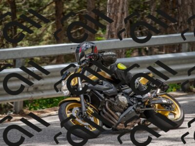 202506011349-DSC_6003_c4_