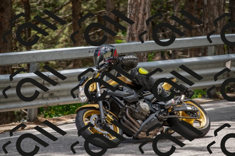 202506011349-DSC_6003_c4_