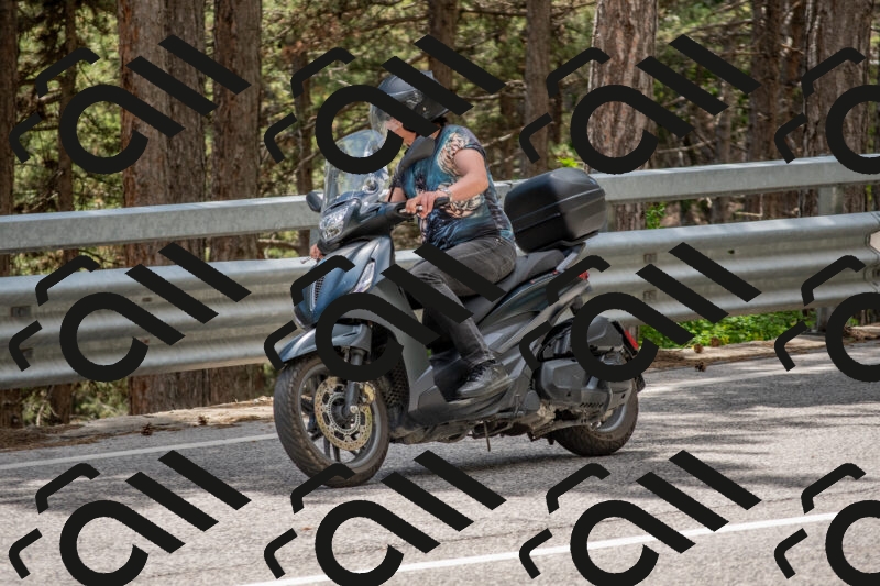 202506011349-DSC_6004_c4_