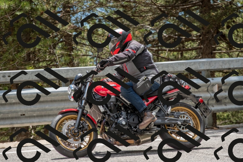 202506011349-DSC_6007_c4_