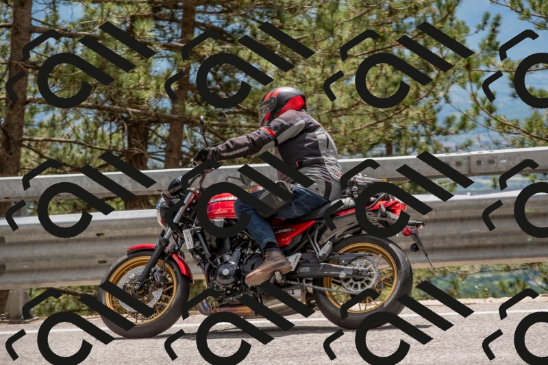 202506011349-DSC_6008_c4_