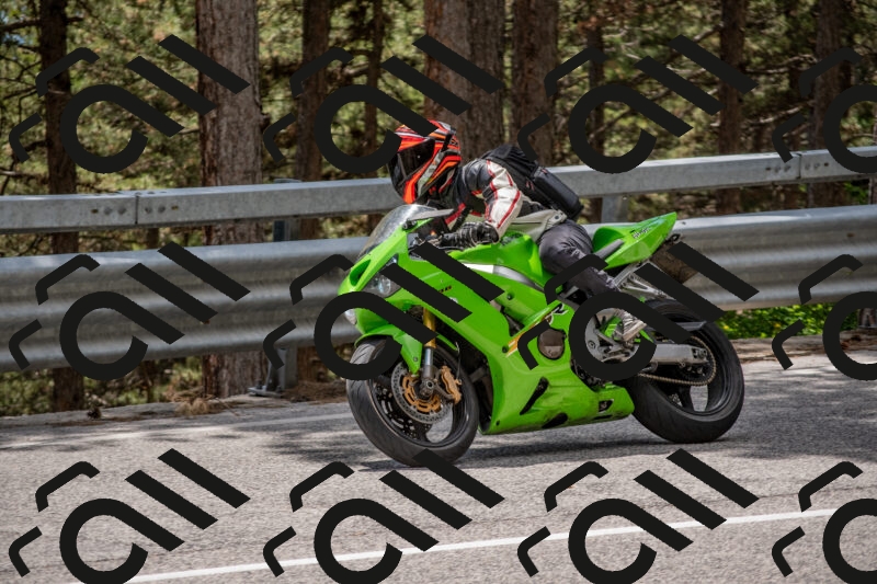 202506011351-DSC_6014_c4_