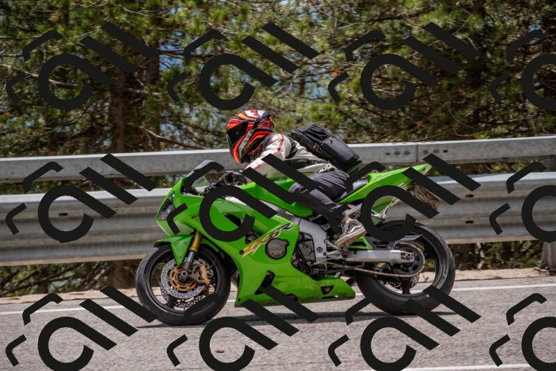 202506011351-DSC_6015_c4_