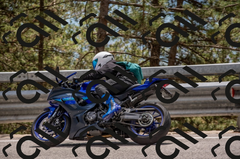 202506011351-DSC_6020_c4_