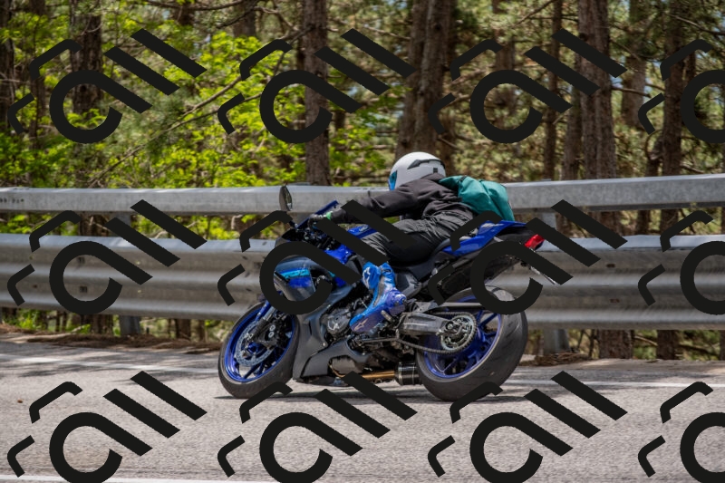 202506011351-DSC_6021_c4_