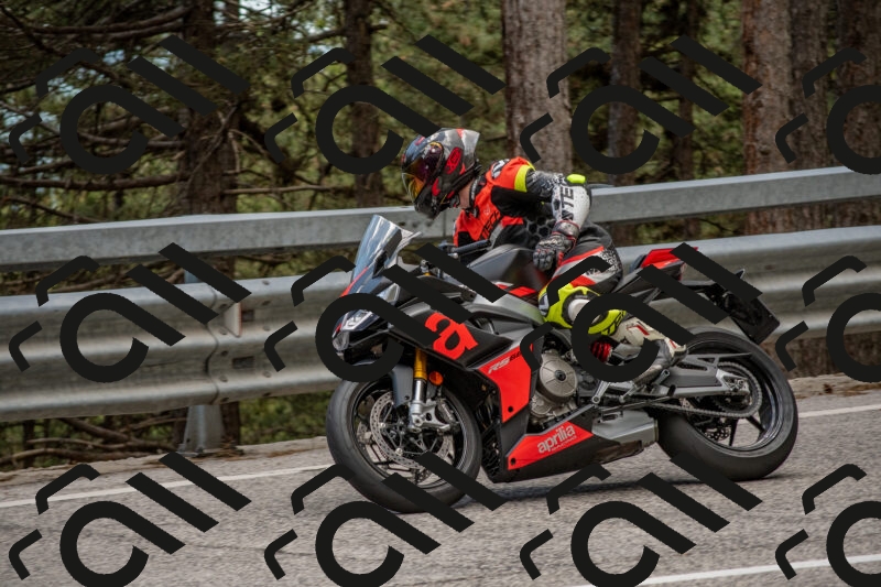 202506011352-DSC_6023_c4_