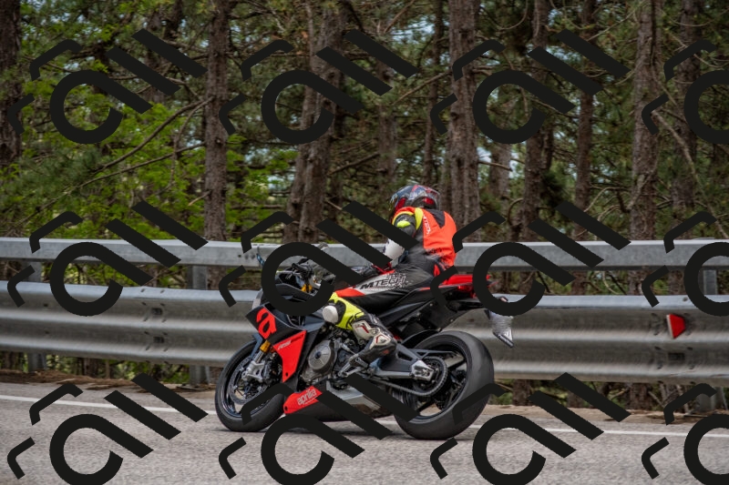 202506011352-DSC_6025_c4_