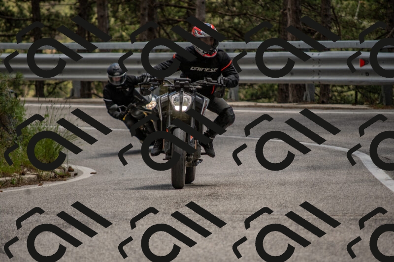 202506011353-DSC_6026_c4_