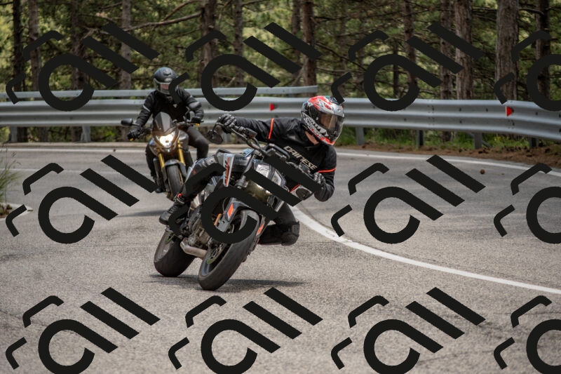 202506011353-DSC_6027_c4_