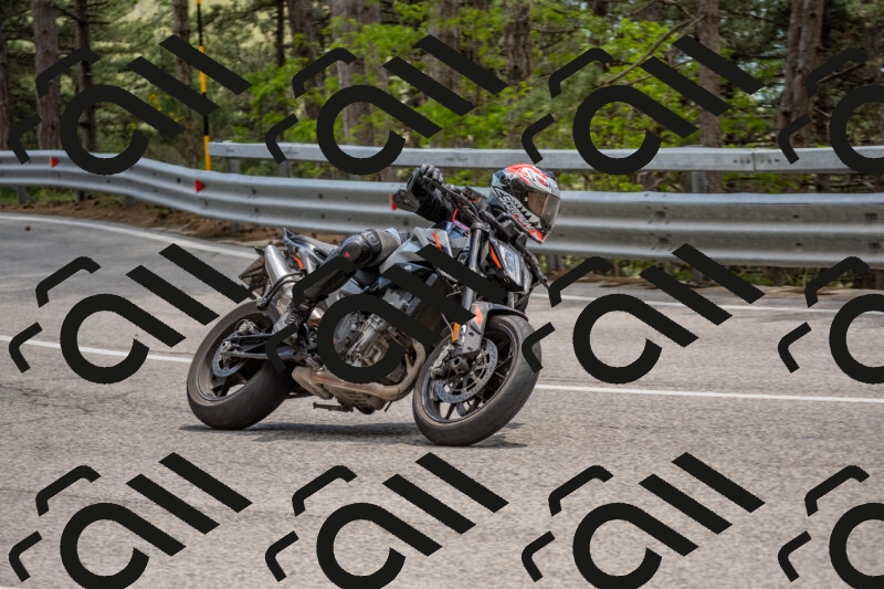 202506011353-DSC_6028_c4_