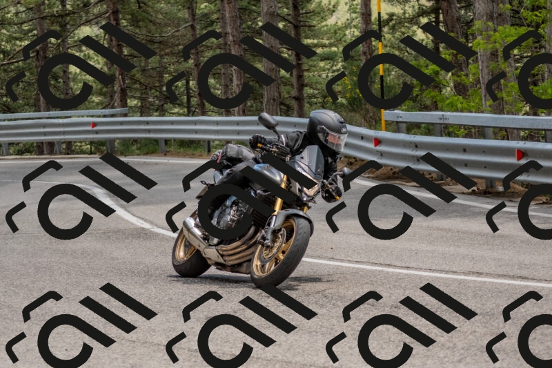 202506011353-DSC_6029_c4_