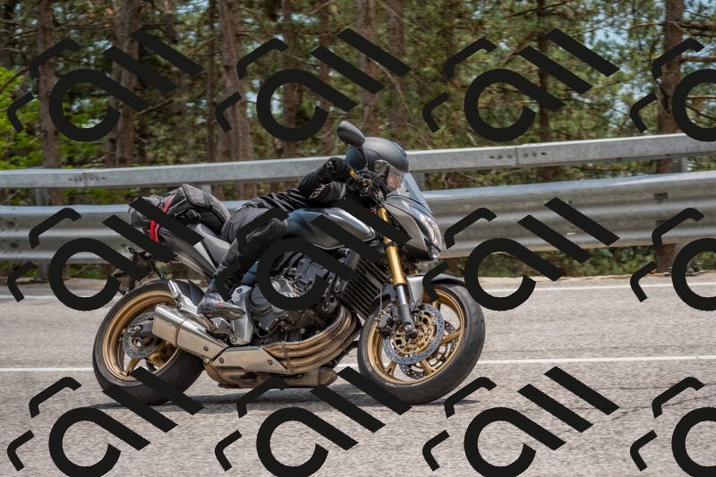 202506011353-DSC_6030_c4_