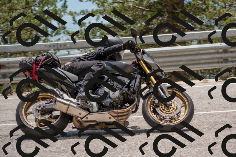 202506011353-DSC_6031_c4_