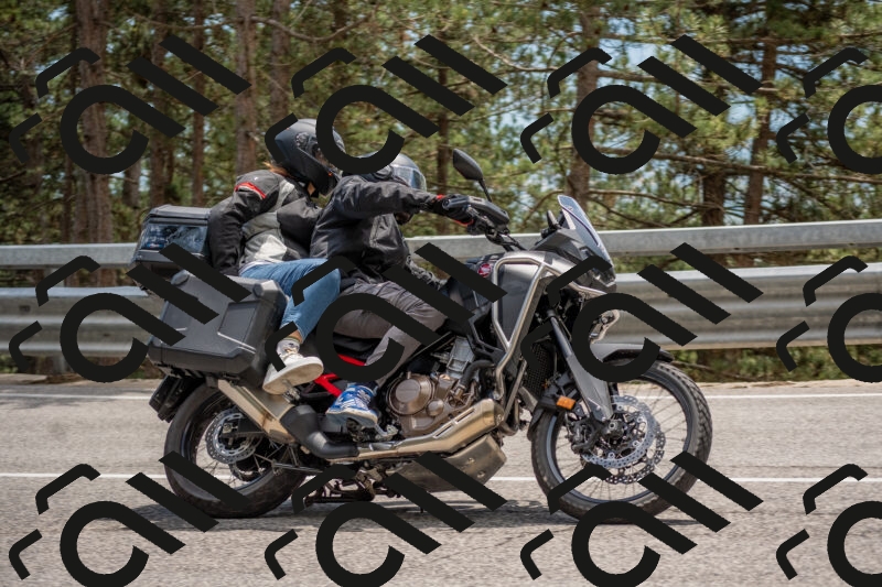 202506011353-DSC_6033_c4_