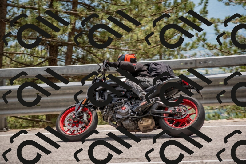 202506011354-DSC_6037_c4_