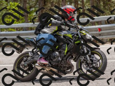 202506011354-DSC_6039_c4_