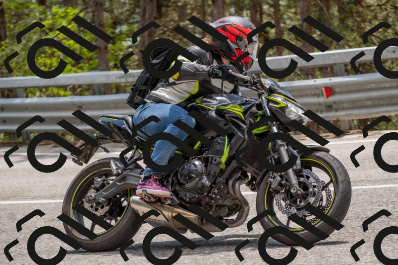 202506011354-DSC_6039_c4_