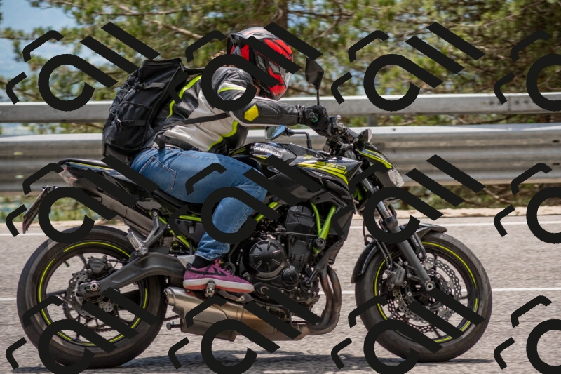 202506011354-DSC_6040_c4_