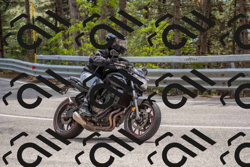 202506011354-DSC_6041_c4_