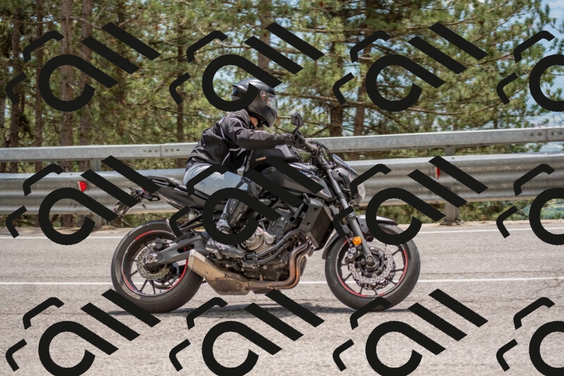 202506011354-DSC_6042_c4_