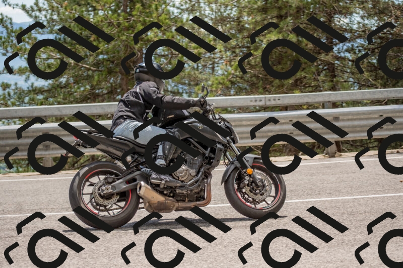 202506011354-DSC_6043_c4_