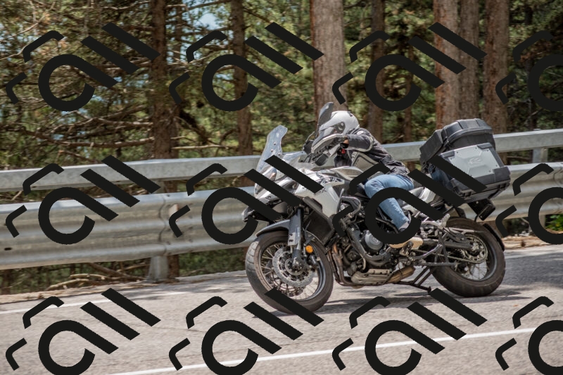 202506011354-DSC_6045_c4_