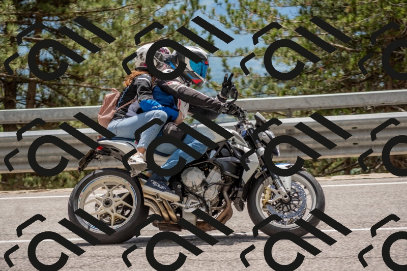 202506011354-DSC_6050_c4_