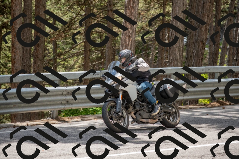 202506011354-DSC_6053_c4_