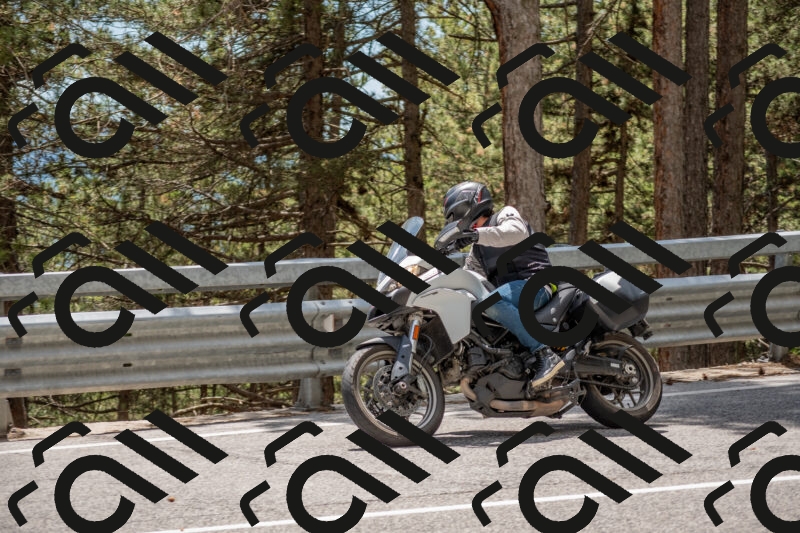 202506011354-DSC_6054_c4_