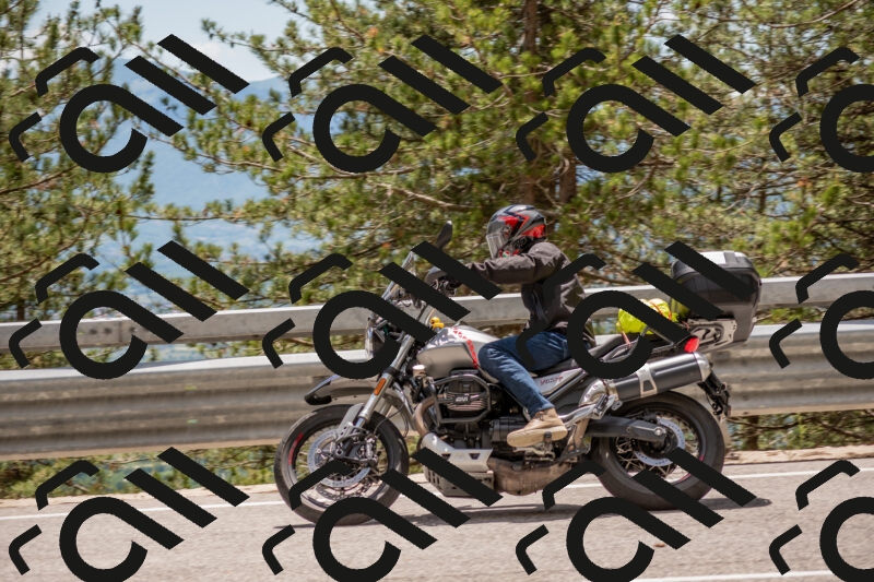 202506011354-DSC_6057_c4_