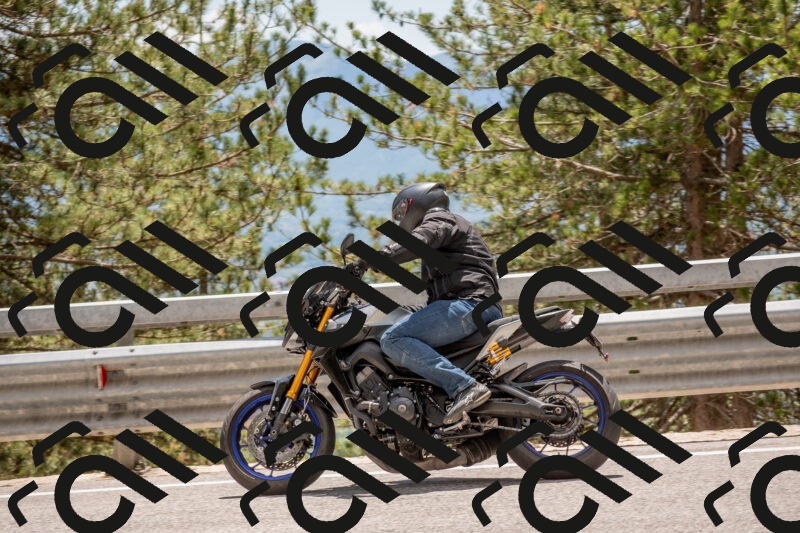 202506011354-DSC_6059_c4_