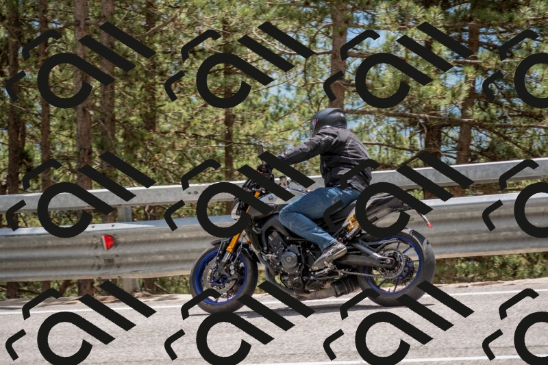 202506011354-DSC_6060_c4_