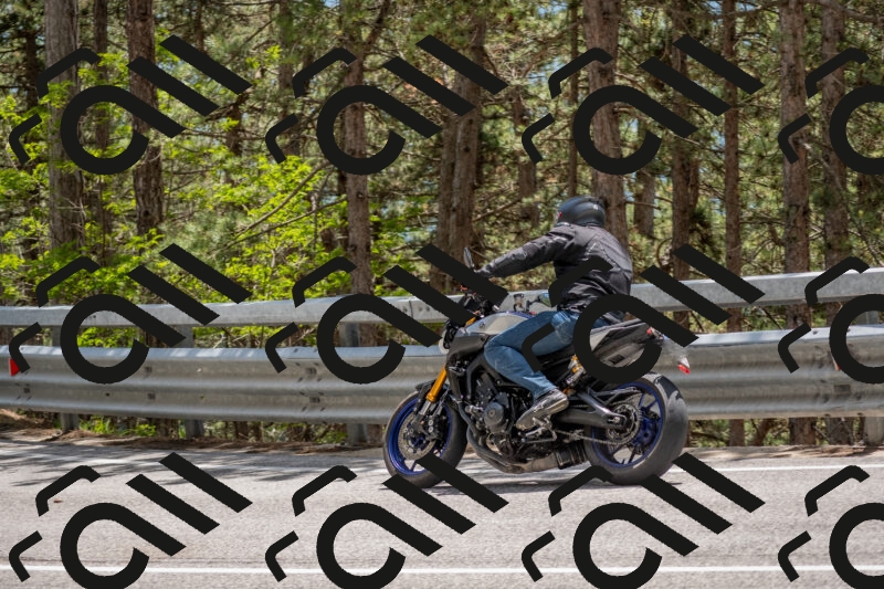 202506011354-DSC_6061_c4_