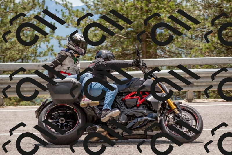 202506011356-DSC_6074_c4_