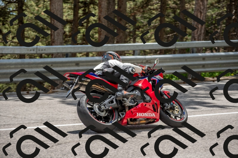 202506011356-DSC_6077_c4_