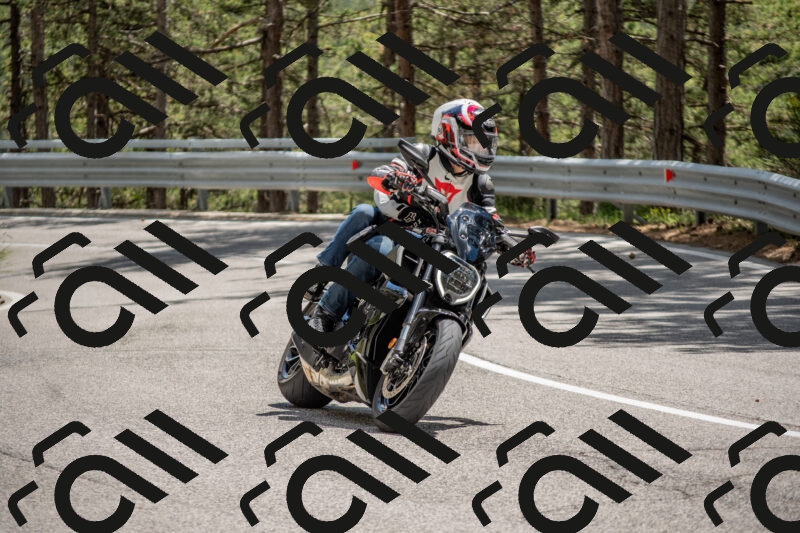 202506011356-DSC_6079_c4_