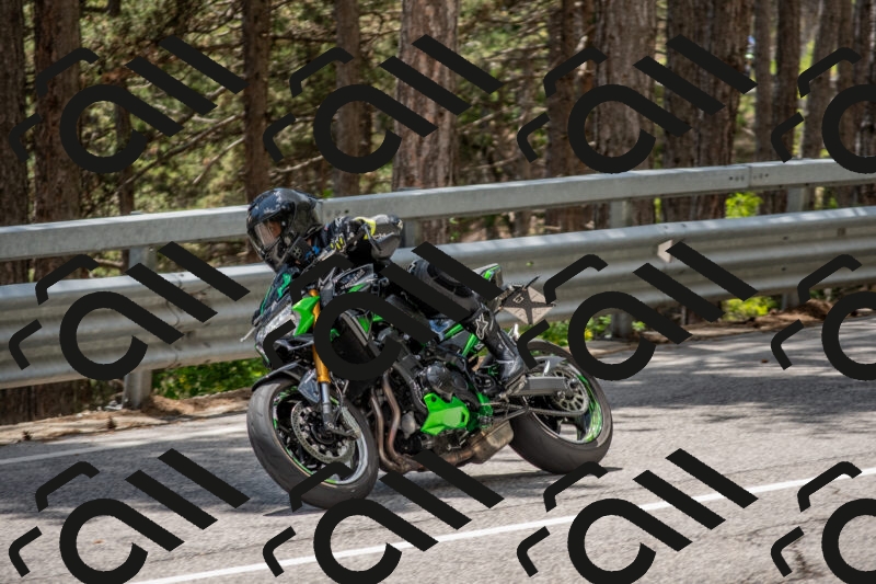 202506011356-DSC_6085_c4_