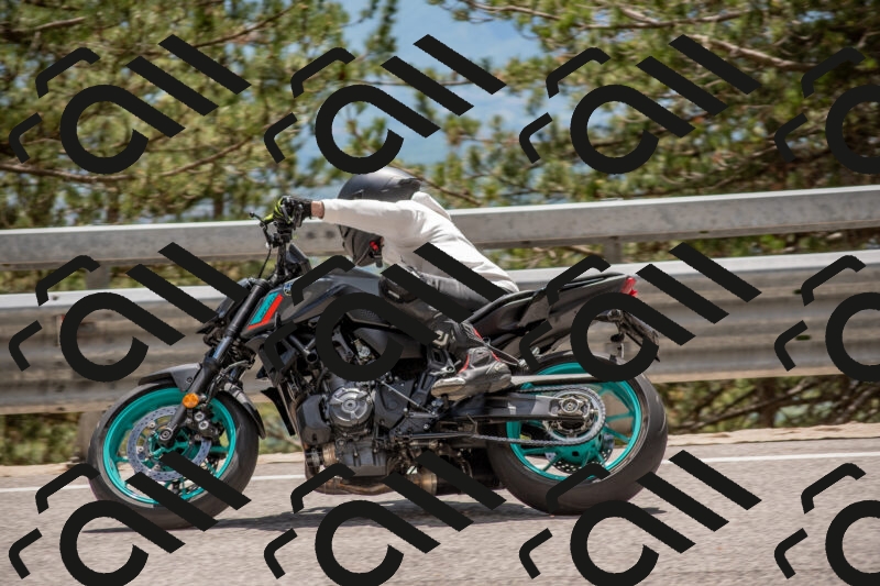 202506011357-DSC_6092_c4_