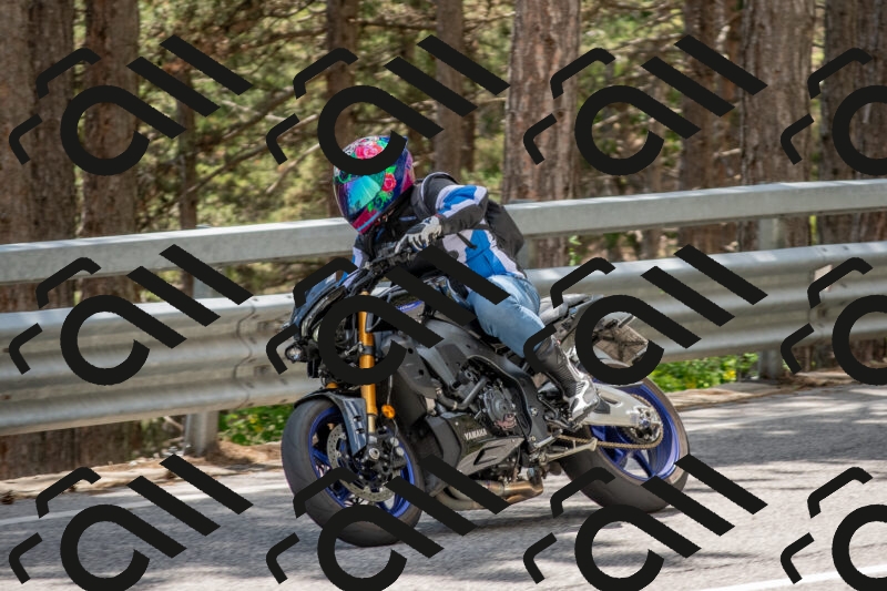 202506011357-DSC_6093_c4_