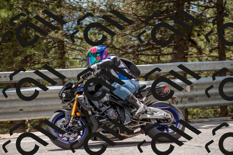 202506011357-DSC_6094_c4_