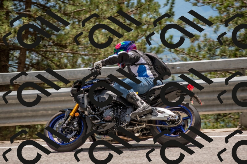 202506011357-DSC_6095_c4_