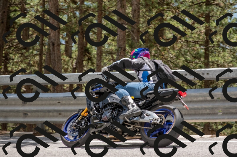 202506011357-DSC_6096_c4_