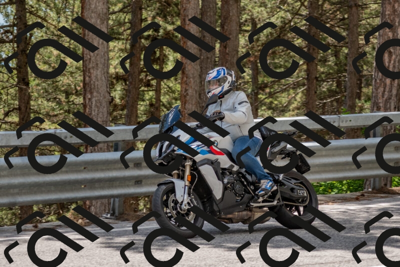 202506011357-DSC_6111_c4_