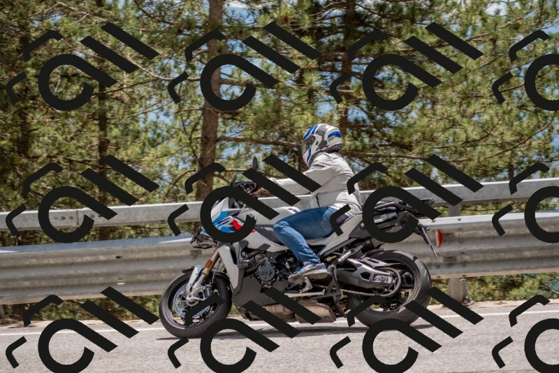 202506011357-DSC_6113_c4_