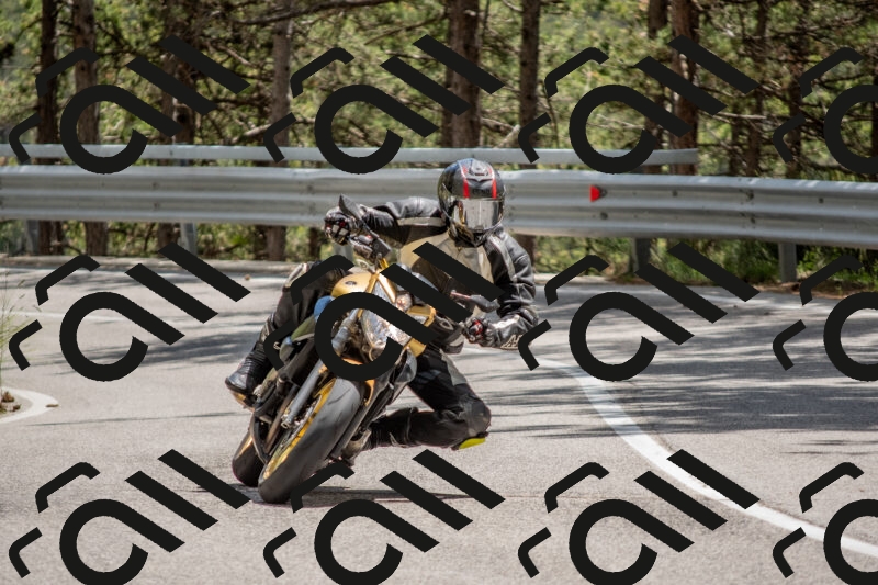 202506011358-DSC_6116_c4_