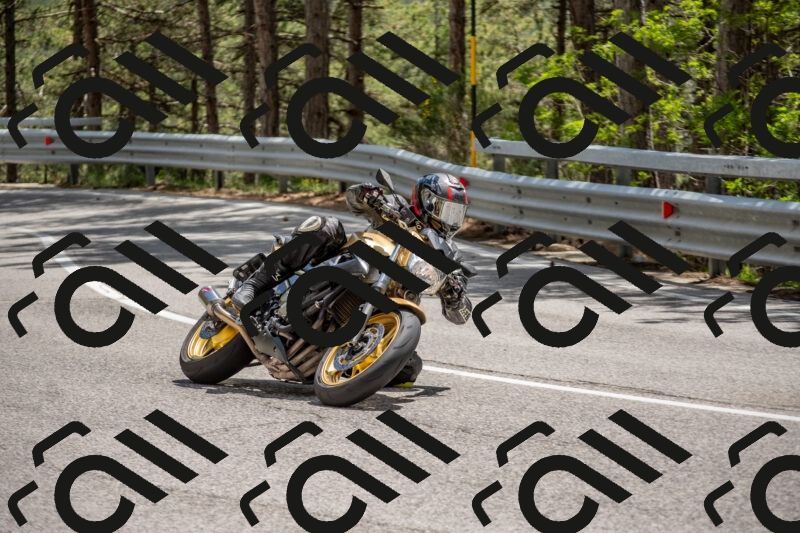 202506011358-DSC_6117_c4_